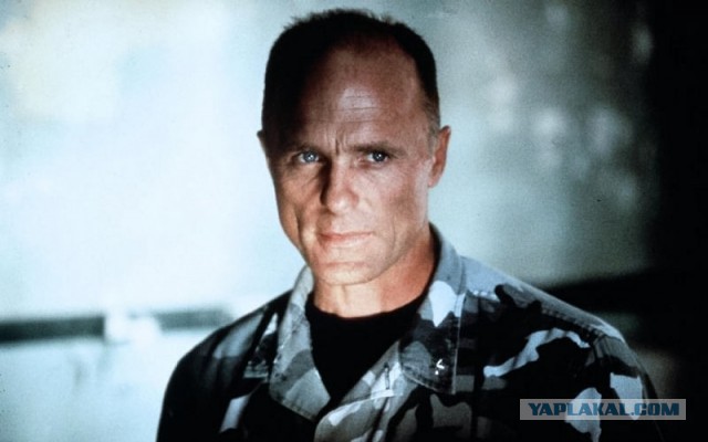 Фото актеров и музыкантов, из которых харизма плещет через край