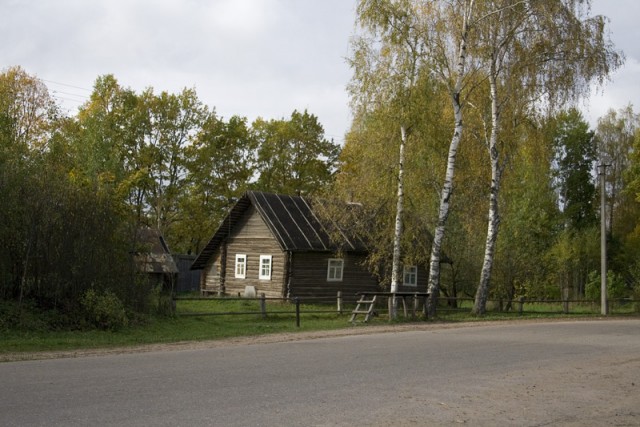 любительская фотография