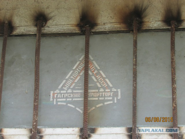 Абхазия зимой