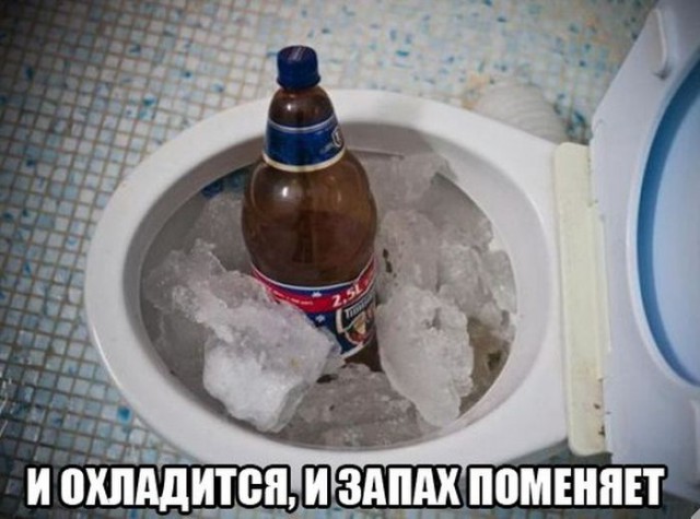 Подборка безудержного веселья
