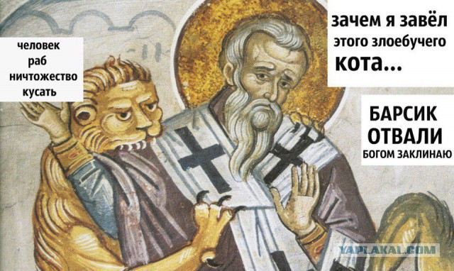 Деградировать подано