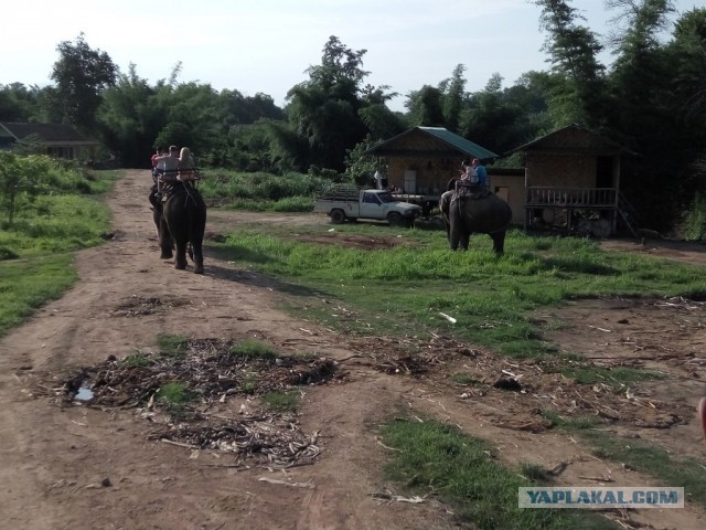Отдых в Тайланде на майские
