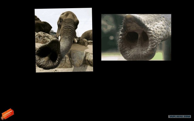 Остановите Землю, я сойду