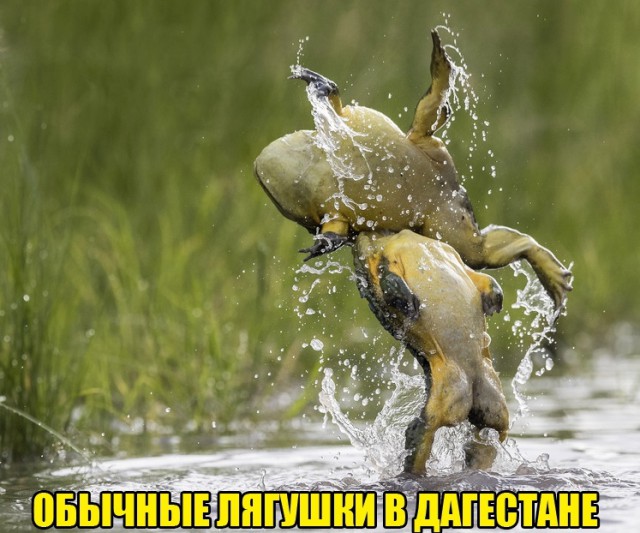 Вечерело... Маразм постучался в окно