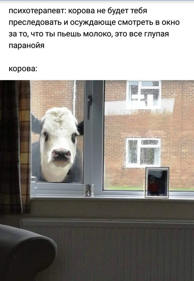 Стейк из хвостика на гриле (Пародия на пародию Пародии Апельсинии)