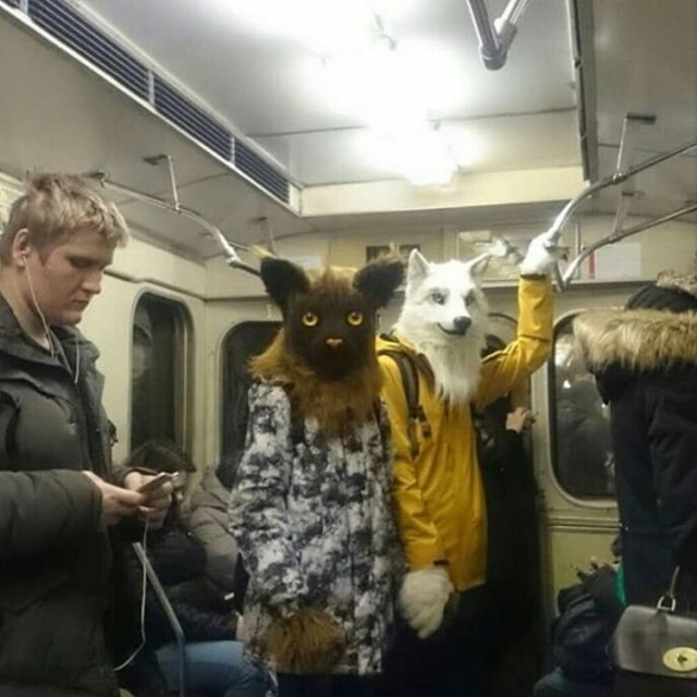 Фотограммы