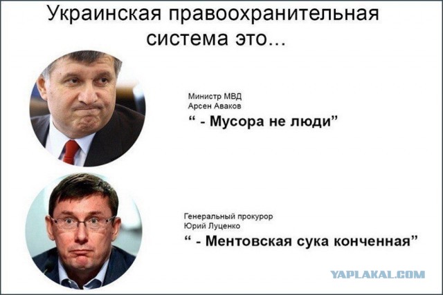 На встрече одноклассников, скрысил бабки из сумочек своих одноклассниц, пока те выходили покурить или потанцевать