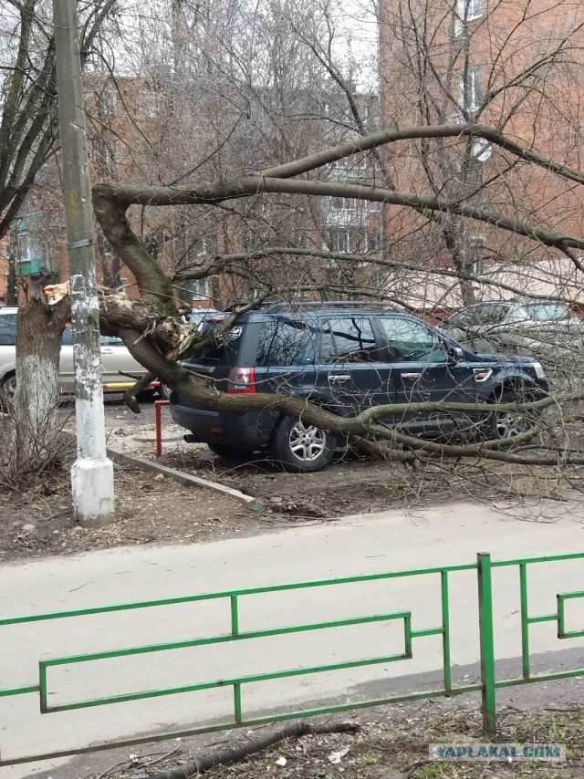 "Лютый ветер в Москве" и его последствия