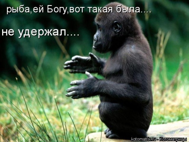 Ушел, подлец