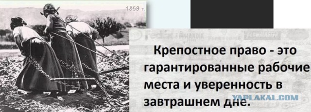 Koвид превращается то ли в секту, то ли в клуб фанатов