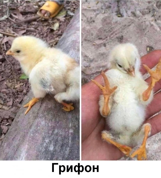 Так себе картинки 11.07.21