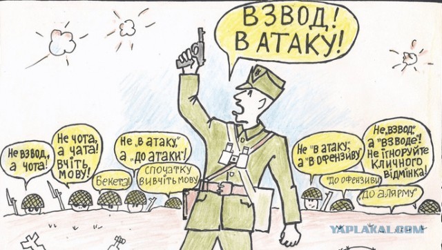 «Для освобождения оккупированных территорий» – украинский главком заявил о подготовке наступления в Донбассе