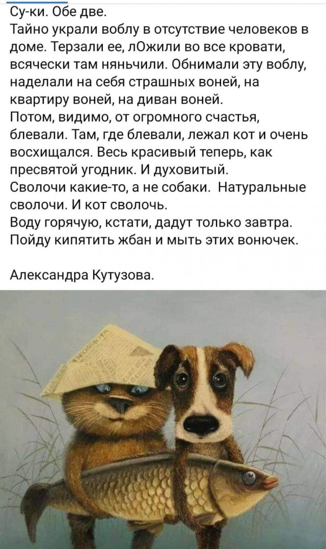 Картинки 19.09.21