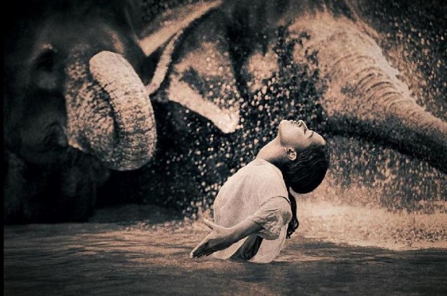 Завораживающие работы от Gregory Colbert.