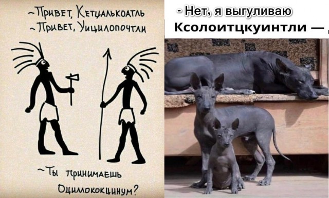 Так себе картинки 03.04.22