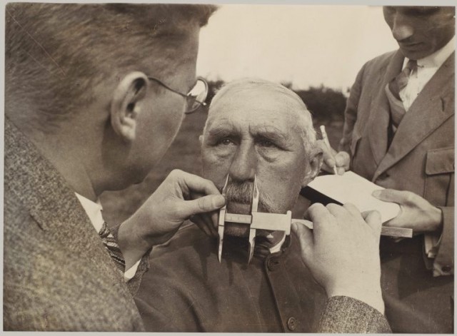 Осторожно, лошади