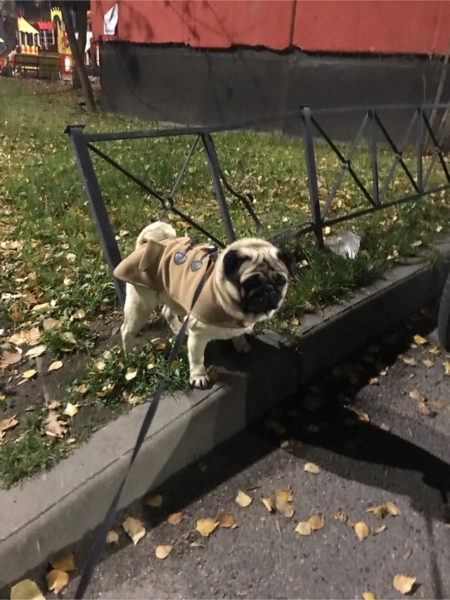 А у нас сегодня счастье