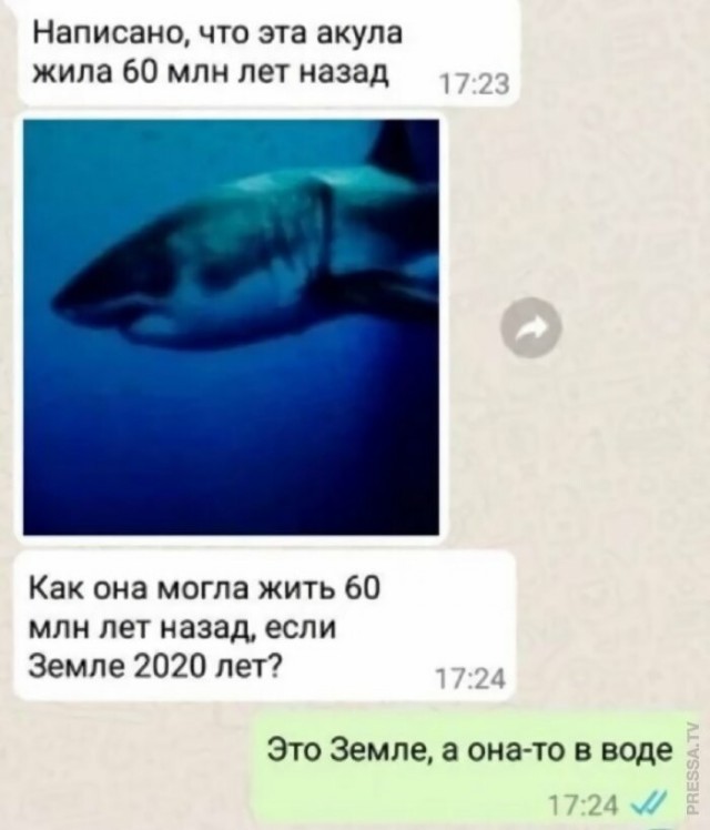 Так себе картинки 21.05.22