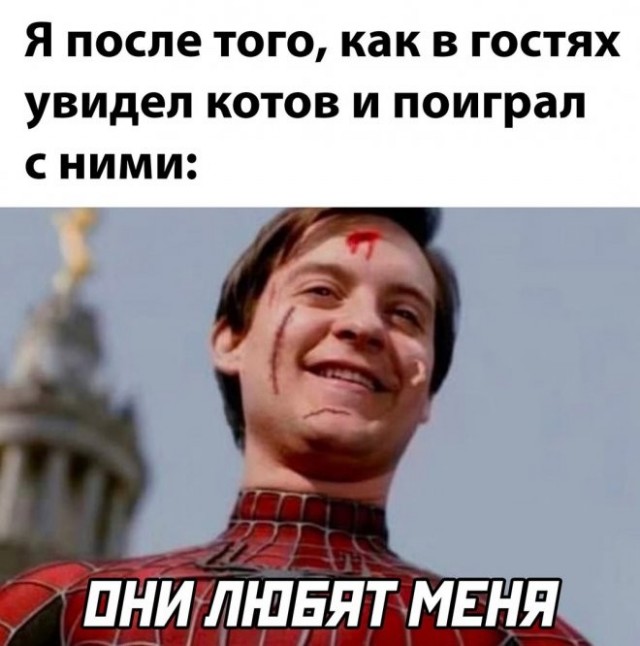 Просто картинки 26.08.22