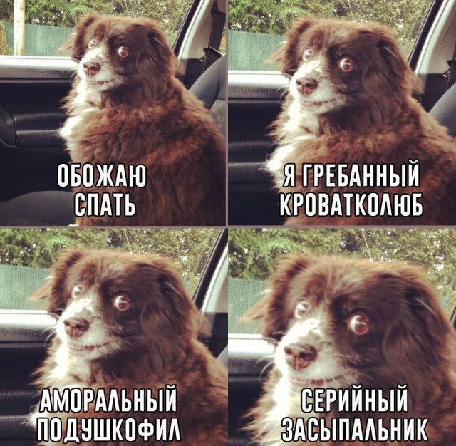 Мемчики. Опишите одним мемом, как дела, что на душе?
