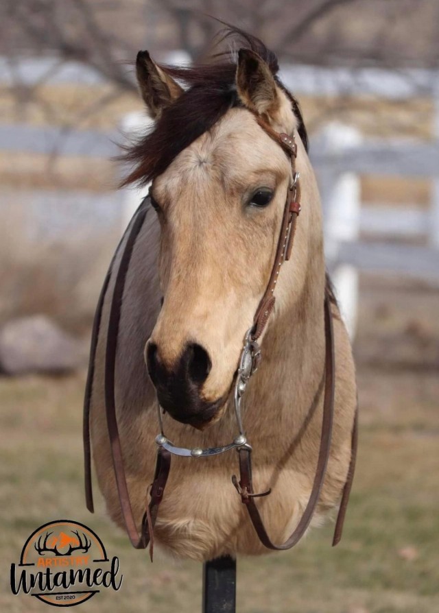 WTF: что тут происходит? 11.02.23