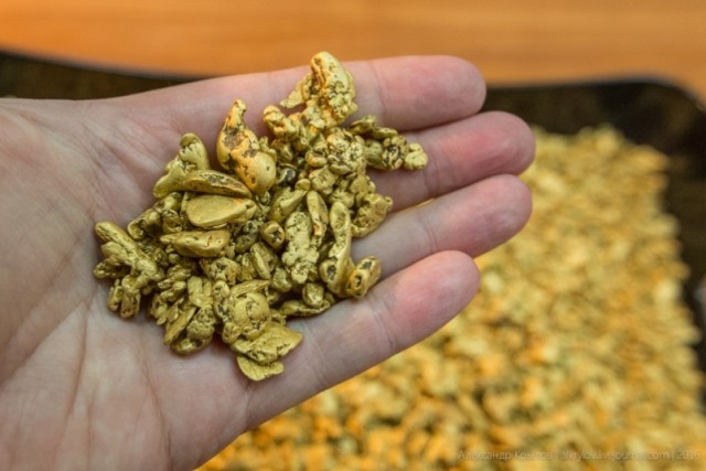 Правительство поддержало законопроект о добыче золота физлицами. Есть тут чернокопы-"хищники"?