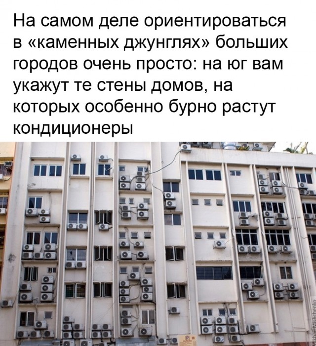 Так себе картинки 20.04.23