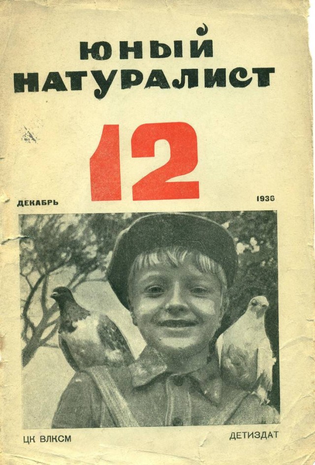На дачу вселилась многодетная мамаша - что делать?