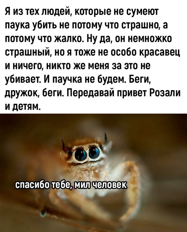 Так себе картинки 17.07.23