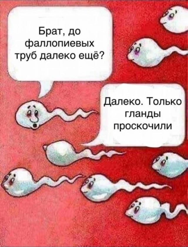 Ну штош, продолжим пОшло деградировать