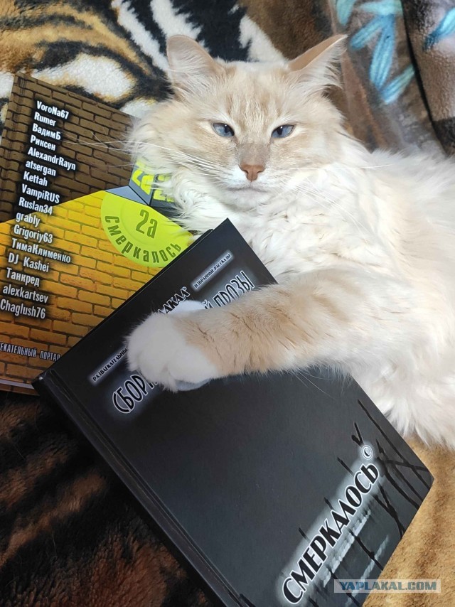 Сборник рассказов ЯПовских авторов. Обсуждение проблемы.