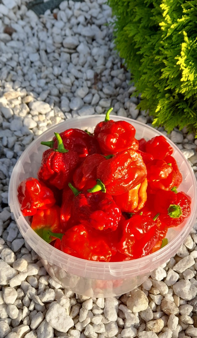 Собрал немного