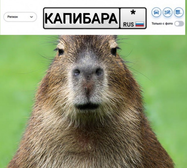 Фак от Кокорина