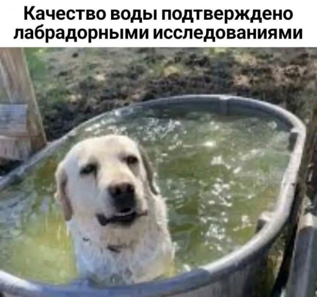 Картинки для деградации 68 (разной степени свежести)