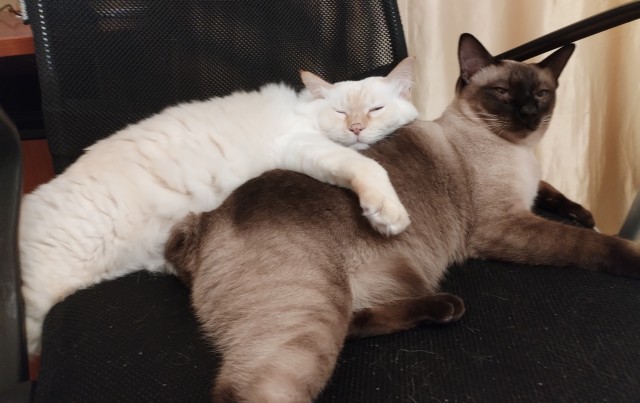 Машу ж вать! Наташа, помогите!