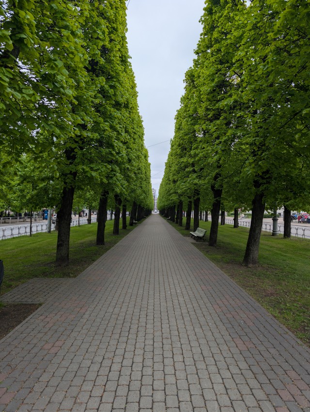 Красивое фото.