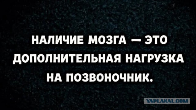 Картинки для деградации 242 (разной степени свежести)