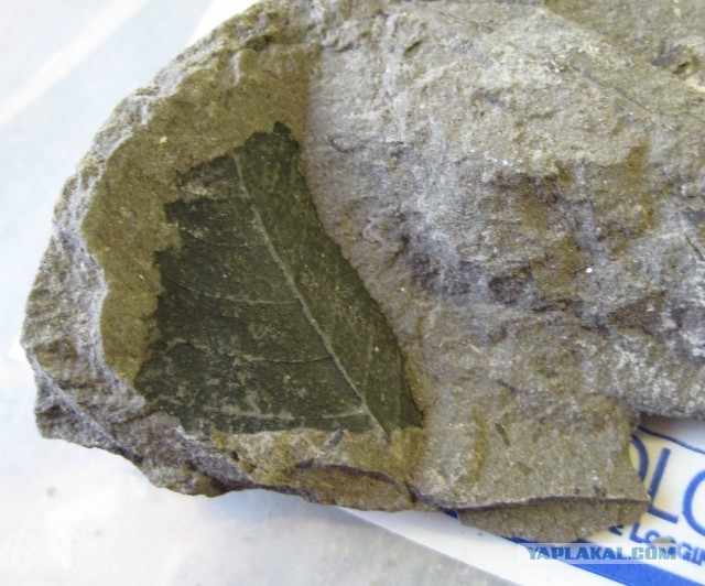 Скрываемые артефакты