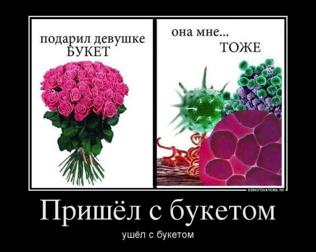 Весёлые картинки. Разбавим будни