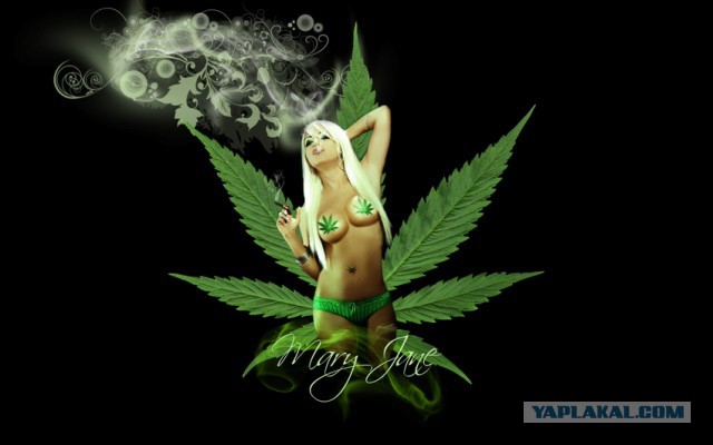 Плюсомет со шпалометом