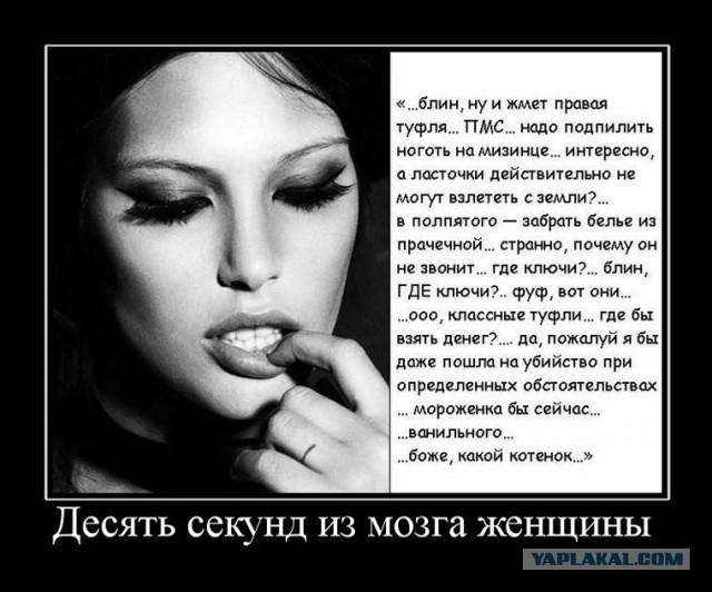 Женские мысли о мужском потребительстве