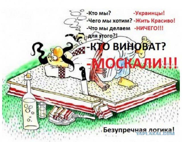 Горячие демотиваторы