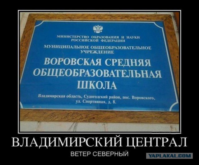 Демотиваторы вторника
