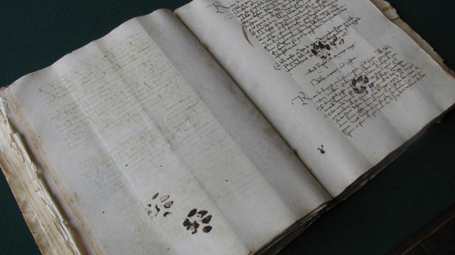 Немного картинок перед понедельником