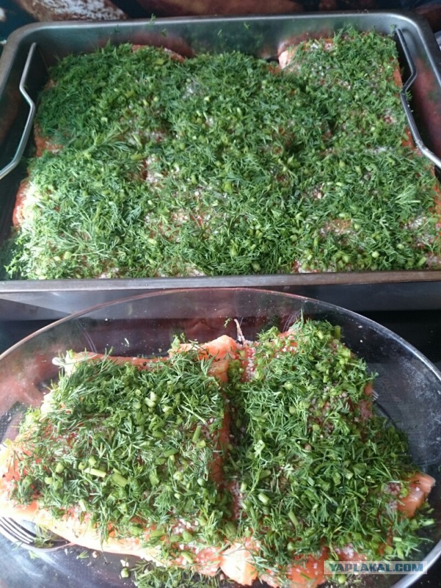 Кухня (кулинарное и околокулинарное общение)