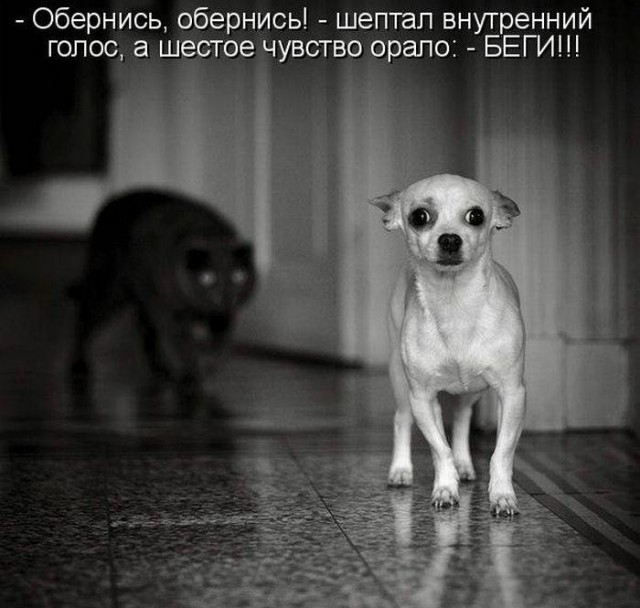 Картинки с буквами -11