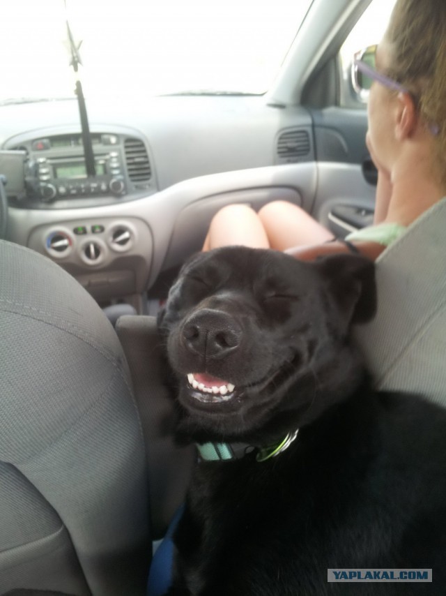 Остроумные цитаты вузовских преподавателей