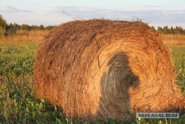 Славянская Душа