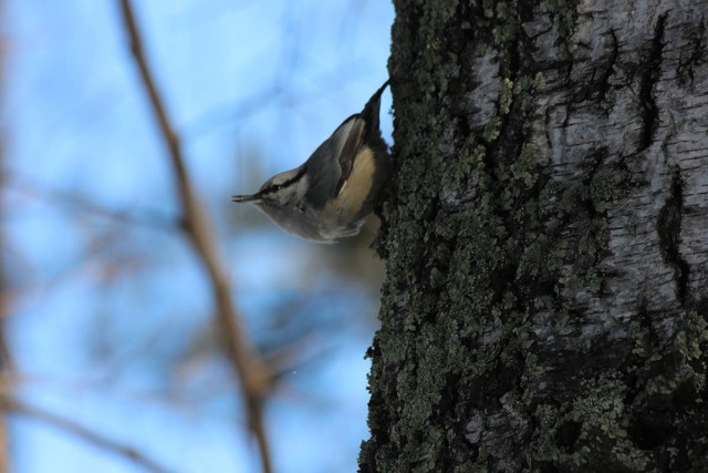 Подборка картинок 29.03.16