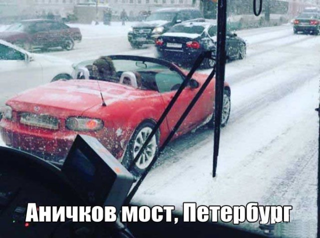 Немного смешных картинок для настроения. 16+